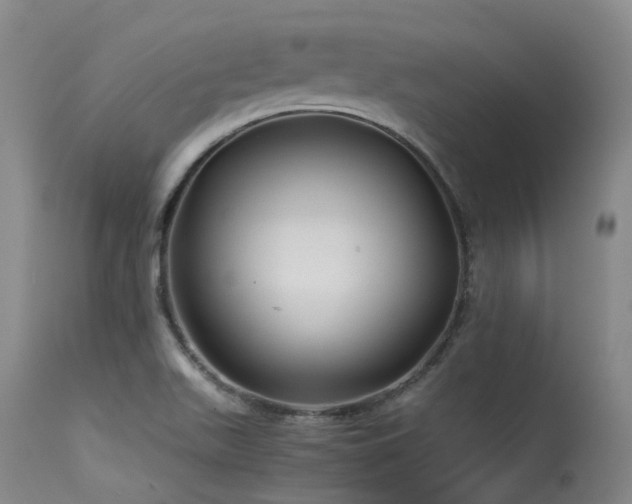 X0000115641511200911101505