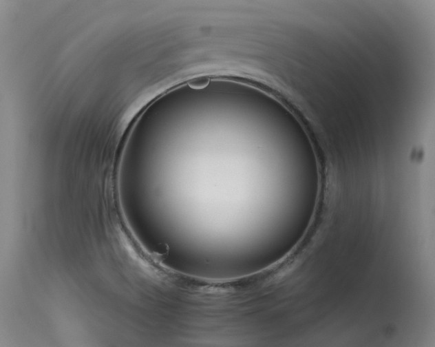 X0000115641513200911101505