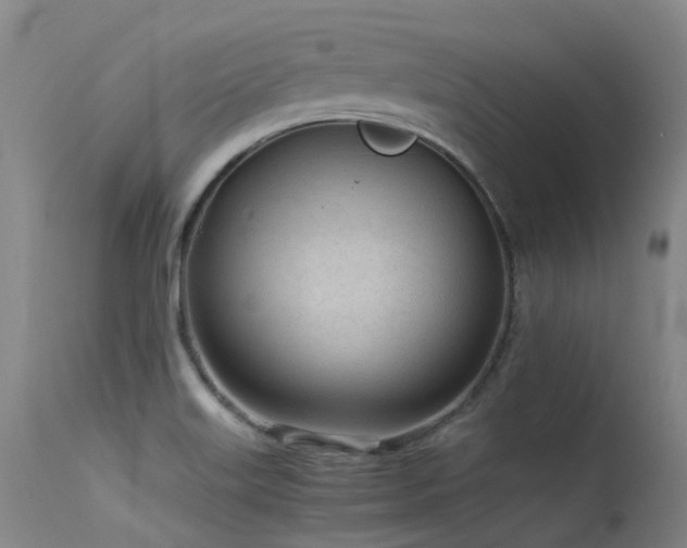 X0000115641515200911101505