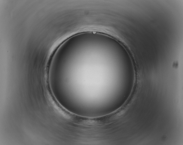 X0000115641517200911101505