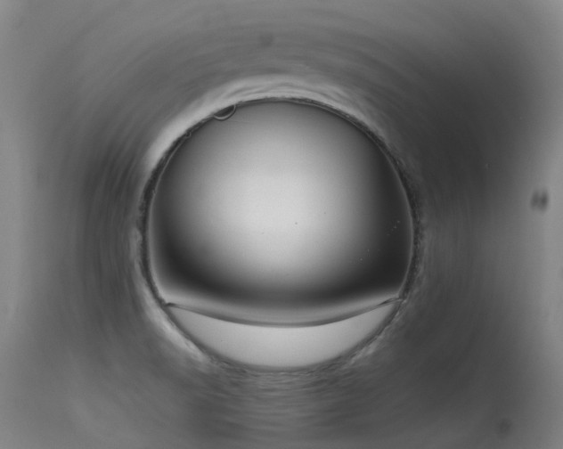 X0000115641518200911101505