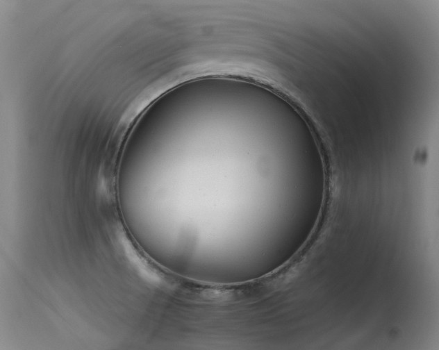 X0000115641521200911101505