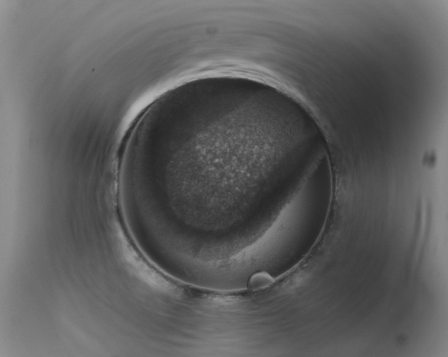 X0000115641522200911101505