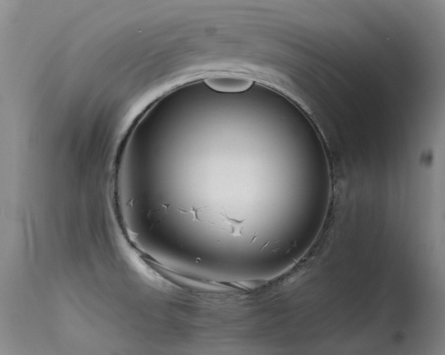 X0000115641523200911101505