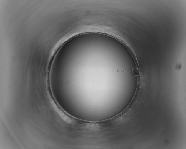 X0000115641525200911101505