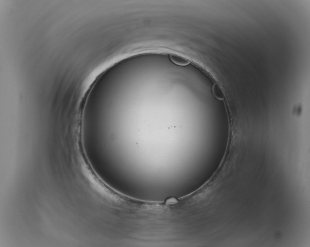 X0000115641526200911101505