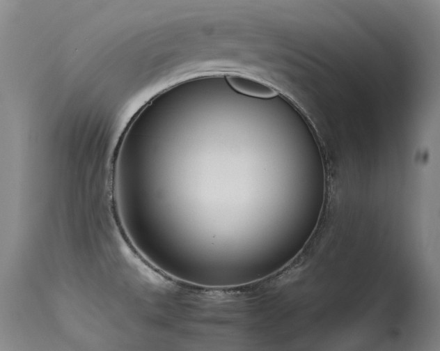 X0000115641527200911101505