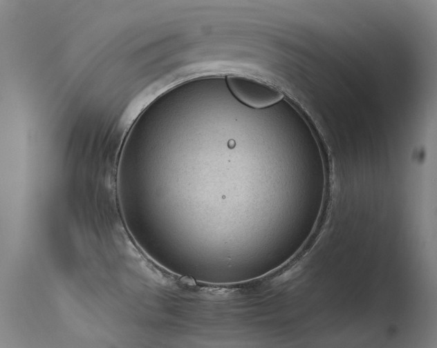 X0000115641529200911101505
