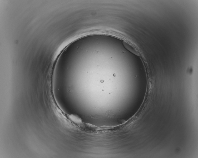 X0000115641530200911101505