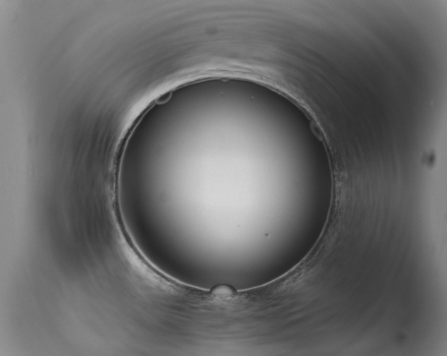 X0000115641531200911101505