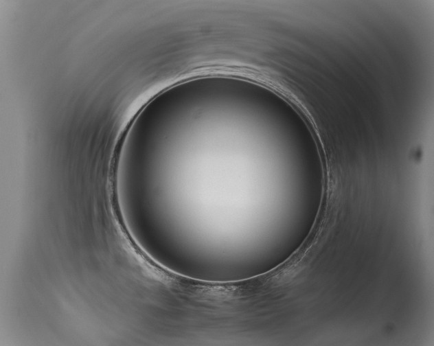 X0000115641533200911101505