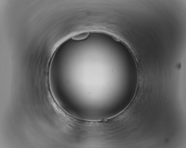 X0000115641534200911101505