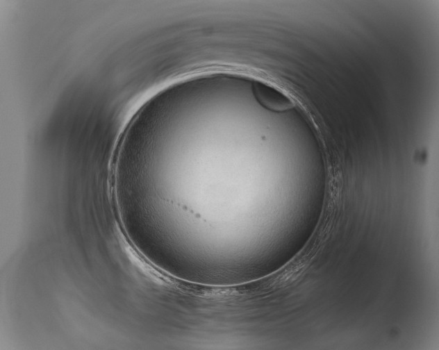 X0000115641535200911101505