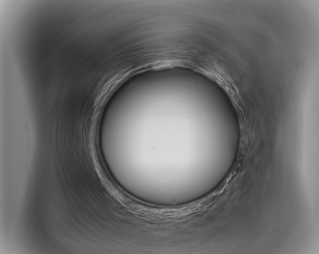 X0000115640001200911171432