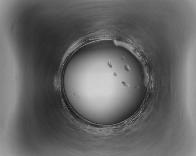 X0000115640004200911171432