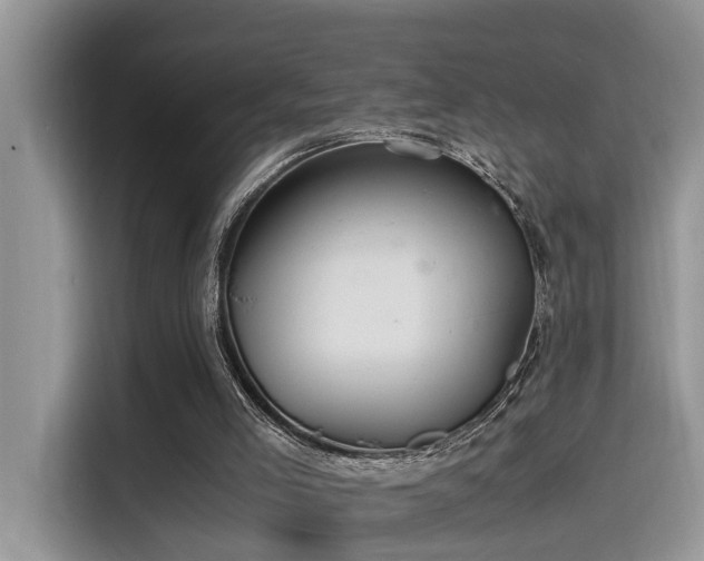 X0000115640005200911171432