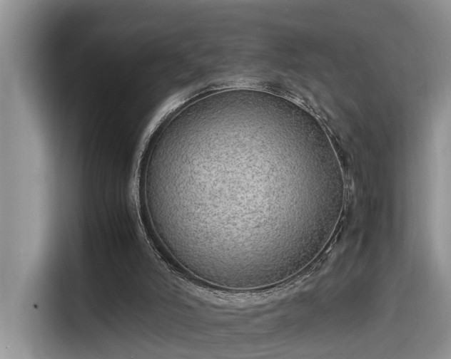 X0000115640006200911171432