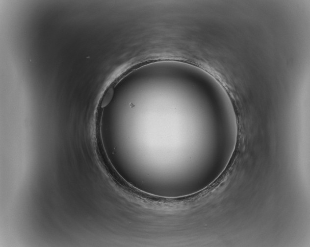 X0000115640008200911171432