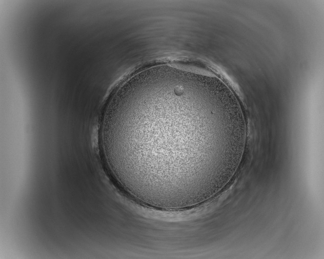 X0000115640010200911171431