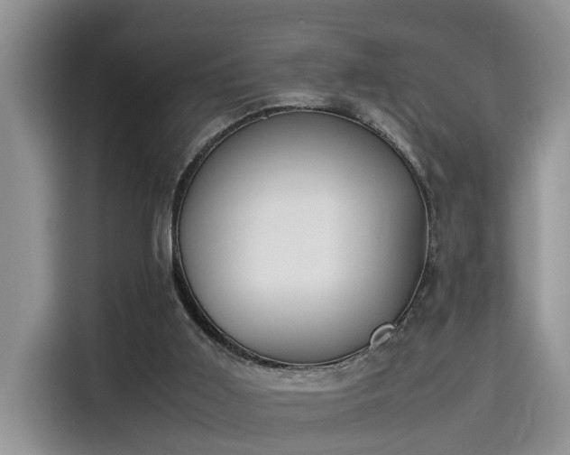 X0000115640011200911171431