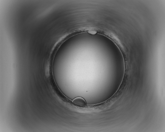 X0000115640012200911171431