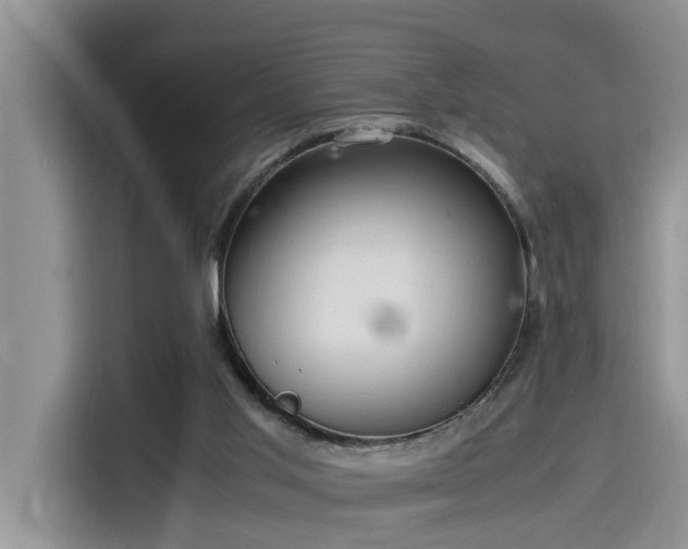 X0000115640013200911171431