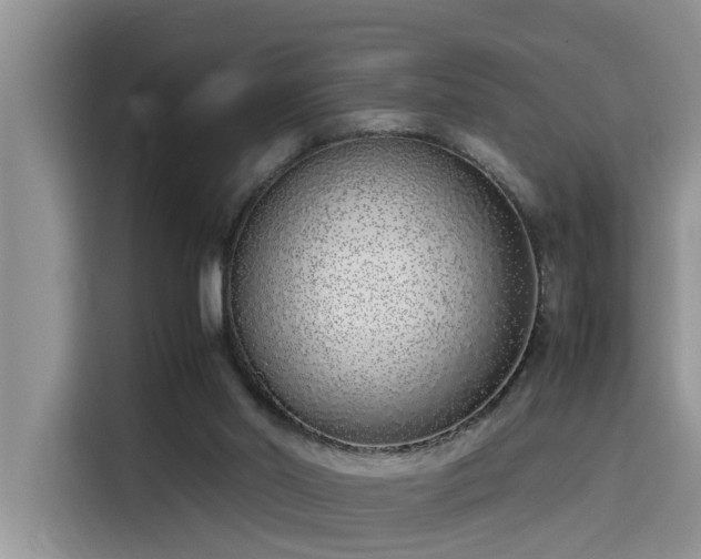 X0000115640014200911171431