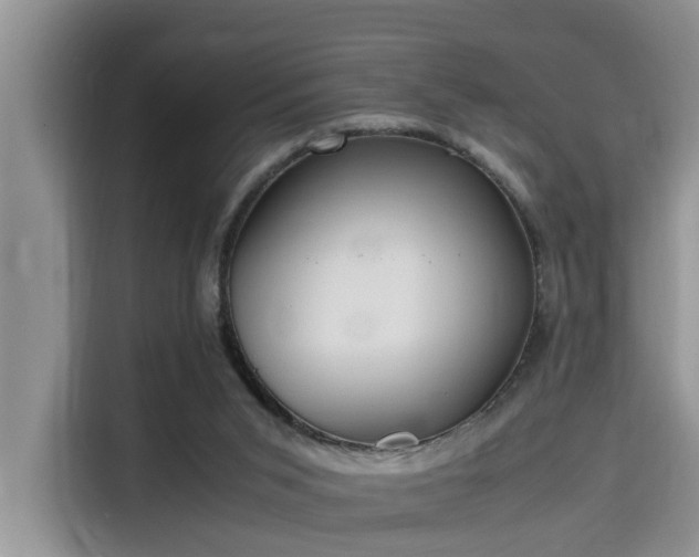 X0000115640015200911171431