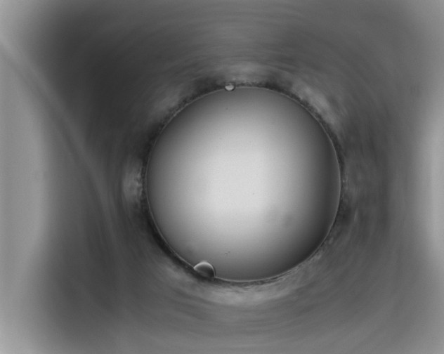 X0000115640017200911171431