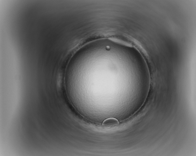 X0000115640018200911171431