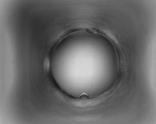 X0000115640021200911171431