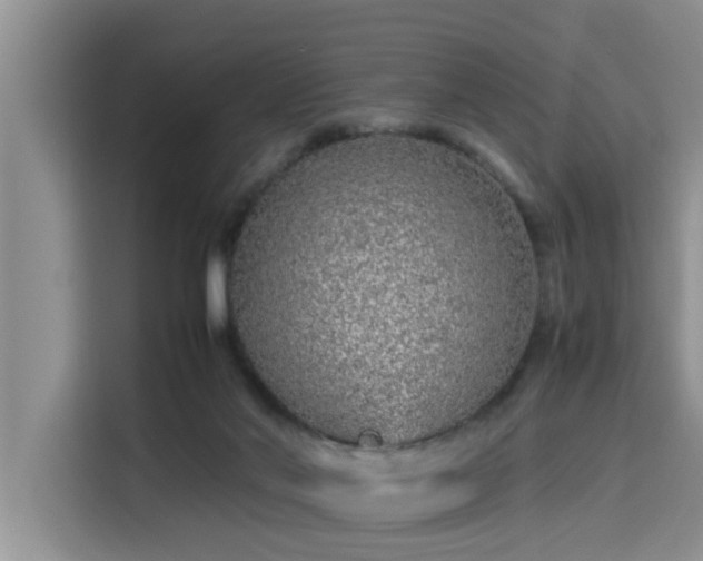 X0000115640022200911171431