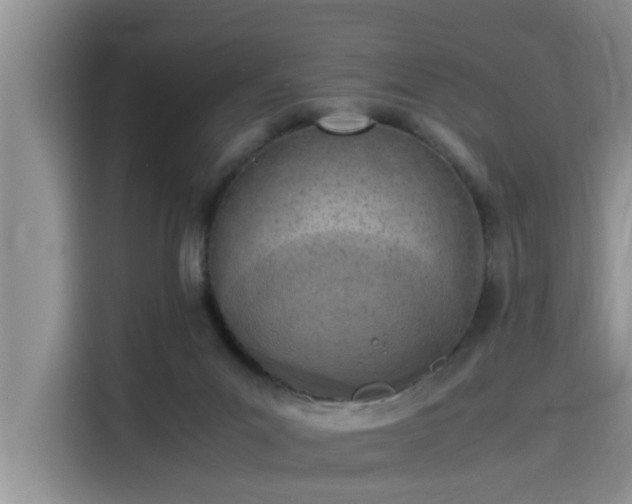 X0000115640023200911171431