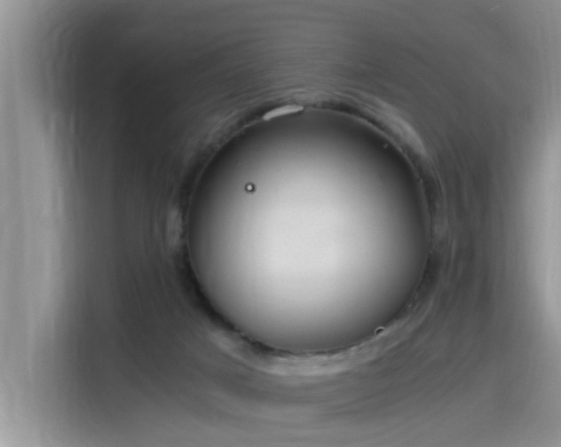 X0000115640025200911171431