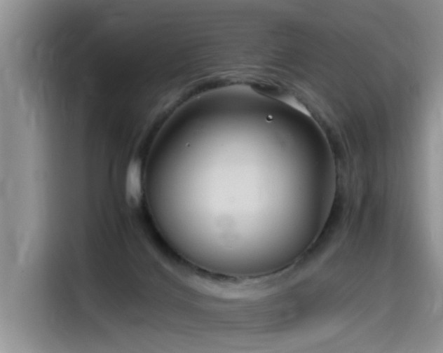 X0000115640028200911171431