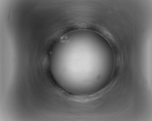 X0000115640029200911171431