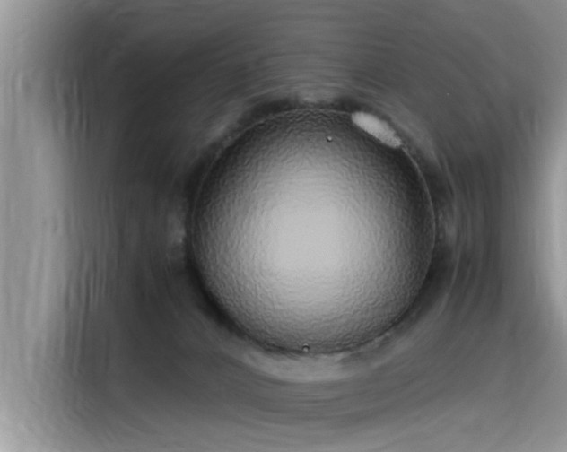 X0000115640032200911171431