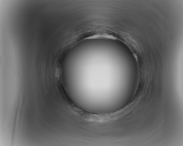 X0000115640033200911171431