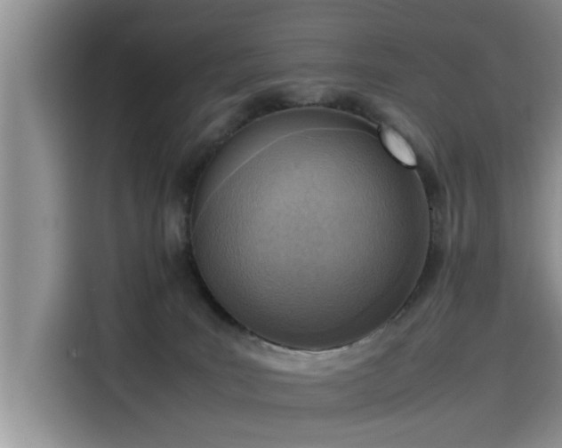 X0000115640035200911171431