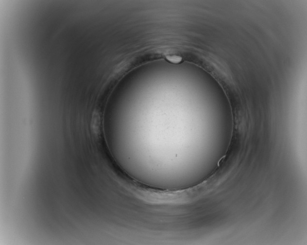 X0000115640036200911171431