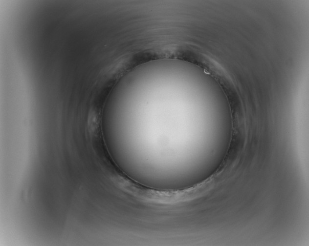 X0000115640037200911171431