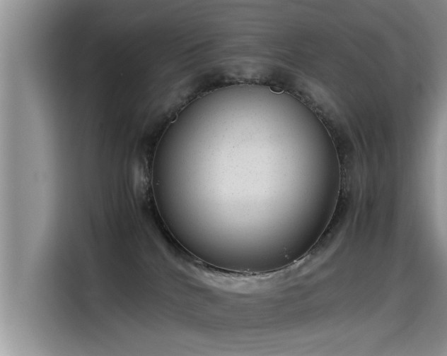 X0000115640040200911171431