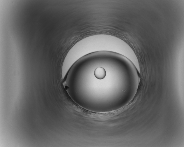 X0000115640041200911171431