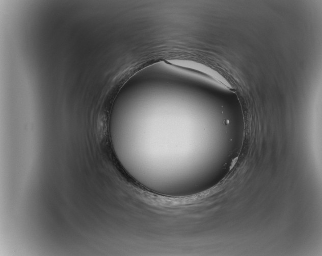 X0000115640043200911171431