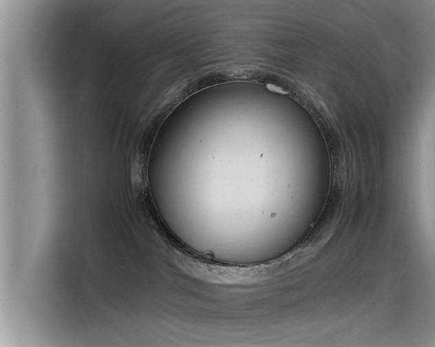 X0000115640044200911171431