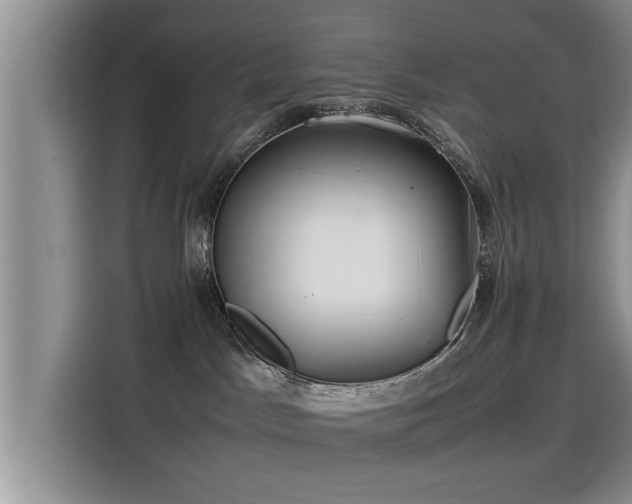 X0000115640045200911171431