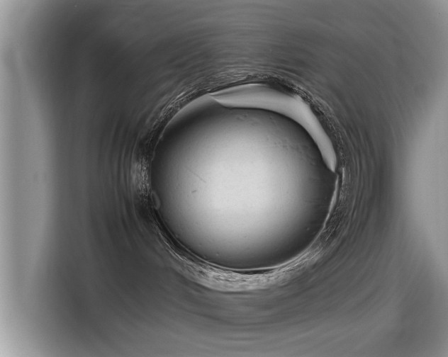 X0000115640048200911171431