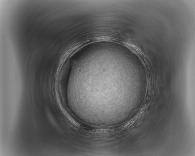 X0000115640049200911171430