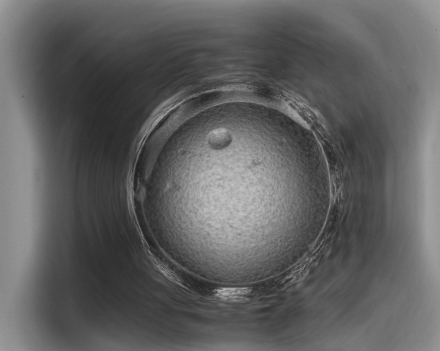 X0000115640051200911171430