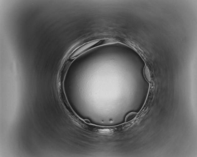 X0000115640053200911171430